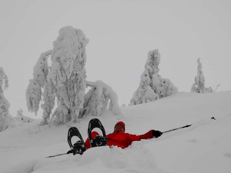 Levi: Gentle Snowshoe Walk in Winter Wilderness - Final Thoughts