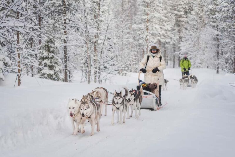 Levi: Husky Adventure Self-Drive Safari 15km - The Experience in Detail