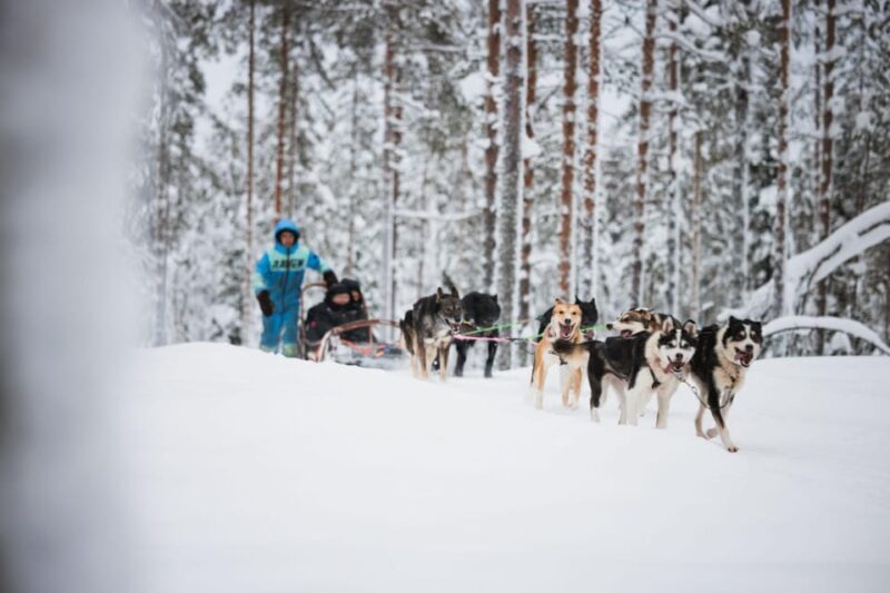 Levi: Husky and Reindeer Farm Visit with Snowmobiling - Key Points