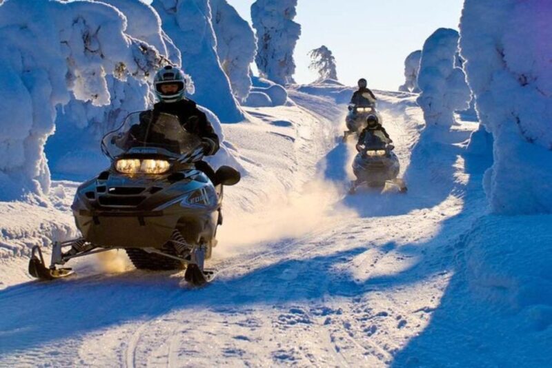Levi: Lapland Family Snowmobile Safari - What You Can Expect from the Snowmobile Safari