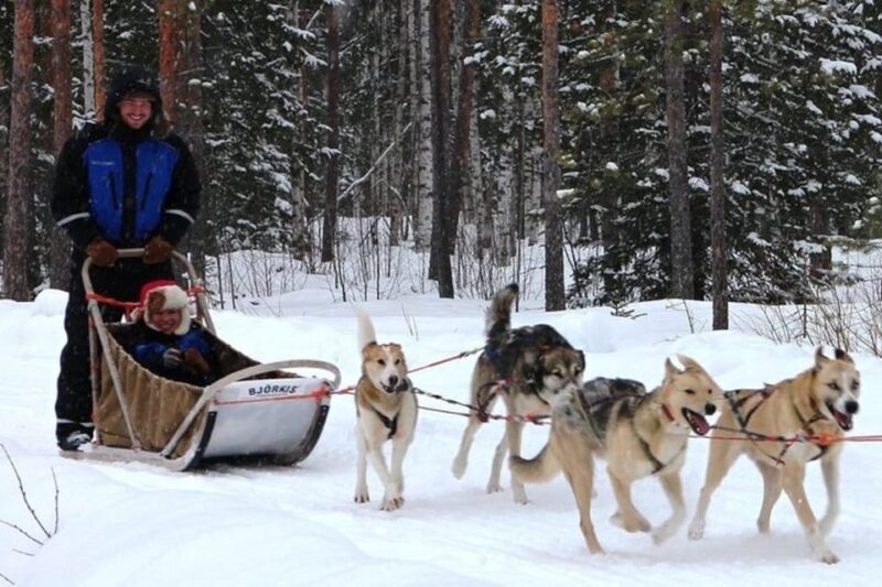 Levi: Lapland Reindeer and Husky Safari - FAQ