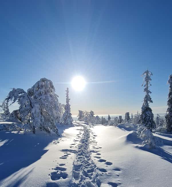 Levi Lapland: Snowshoe Adventure to Fell Kätkä - The Scenic Highlights