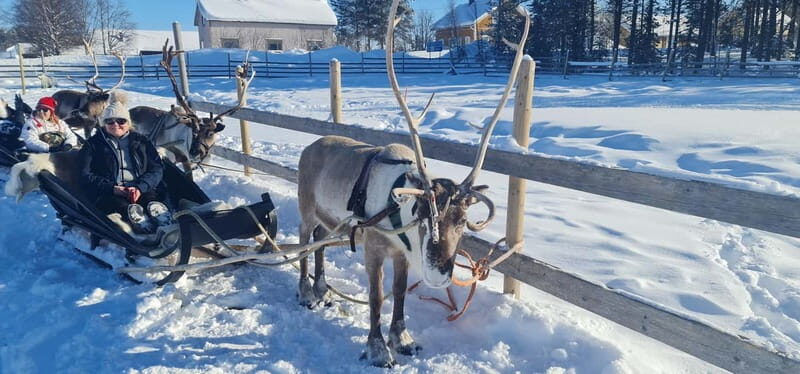 Levi: Lappish Reindeer Sled Ride 3 km - Key Points
