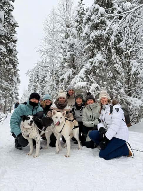 Levi: Meet Reindeer and Visit Husky Kennel - What to Expect During the Experience