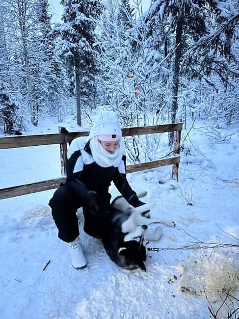 Levi: Meet Reindeer and Visit Husky Kennel - Practical Considerations