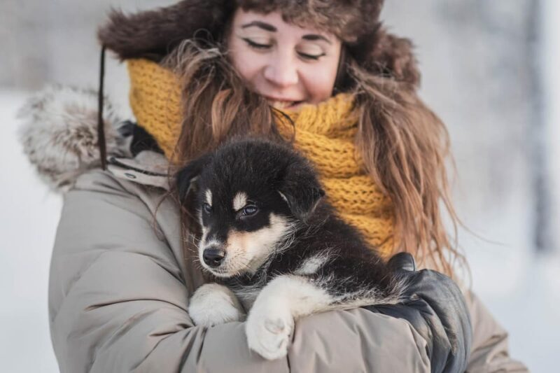 Levi: Nature Walk with Huskies - Key Points