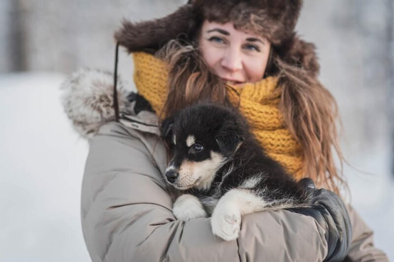 Levi: Nature Walk with Huskies - The Dogs and the Experience