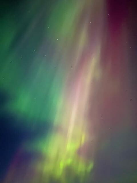 Levi: Northern Lights Adventure in the Wild, Campfire Treats - A Closer Look at the Experience