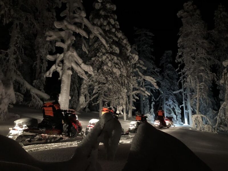 Levi: Northern Lights Snowmobile Tour with Snacks and Drinks - The Value of the Experience