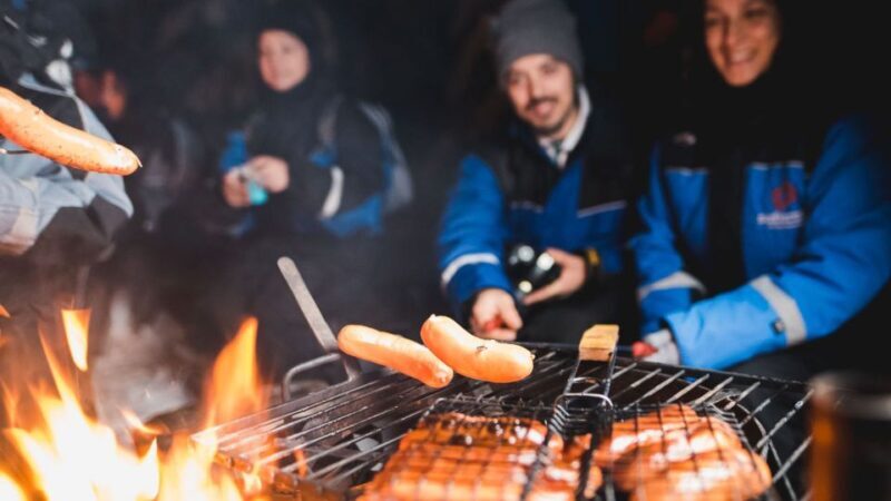 Levi: Northern Lights Snowmobile Tour with Snacks and Drinks - Authentic Insights from Travelers