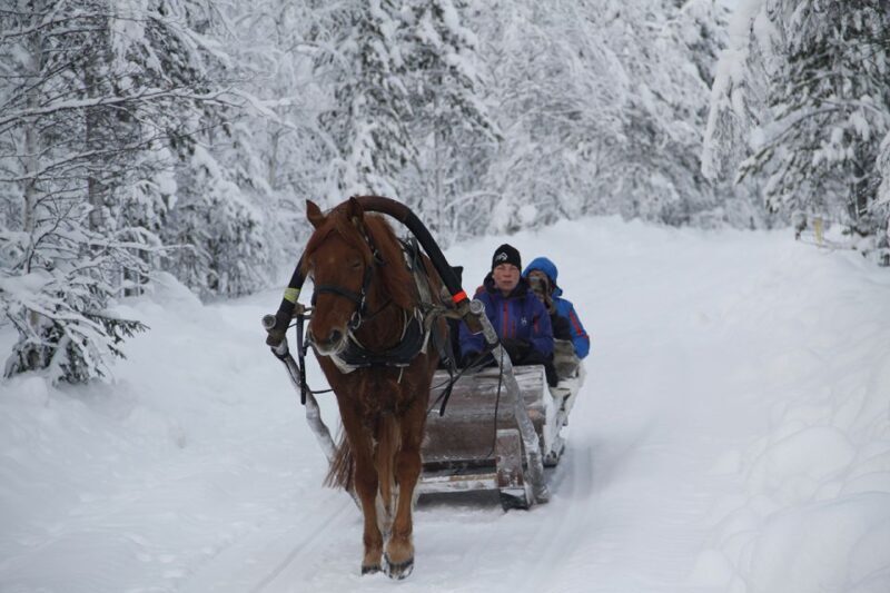 Levi: One Horse Open Sleigh Ride - Key Points