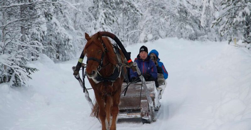 Levi: One Horse Open Sleigh Ride - What’s Included and What to Know