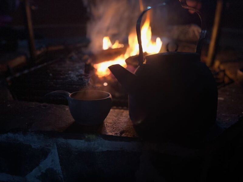 Levi: Pallas-Yllästunturi National Park Snowshoeing Tour - An In-Depth Look at the Levi Snowshoeing Experience