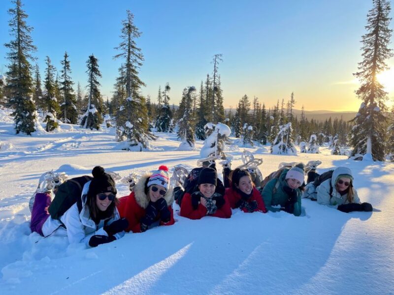 Levi: Pallas-Yllästunturi National Park Snowshoeing Tour - What Reviews Say