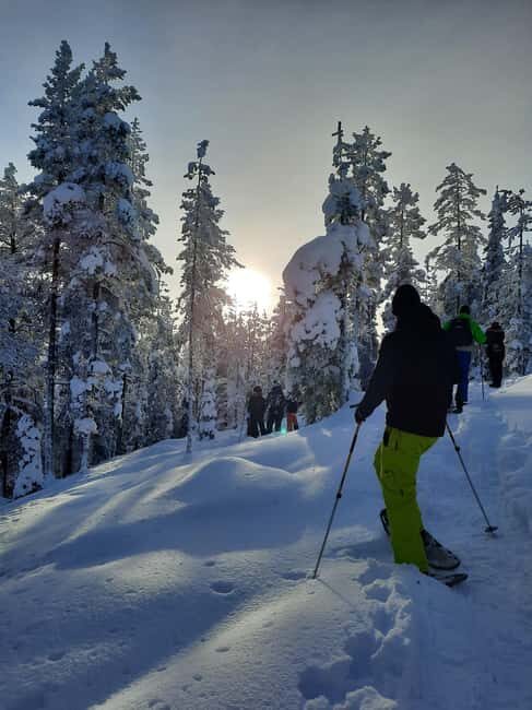 Levi: Panoramic Snowshoeing at the Top of Levi Fell - Who Should Consider This Tour?