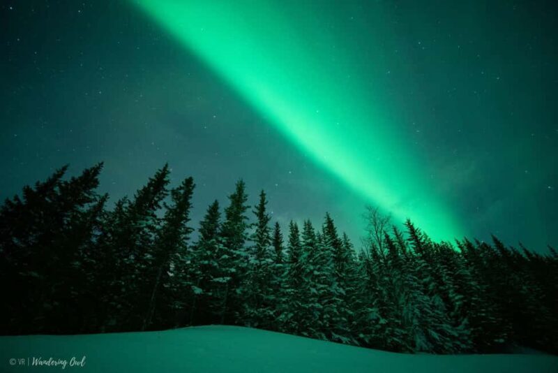 Levi: Private Northern Lights Hunt in the Wilderness - Key Points