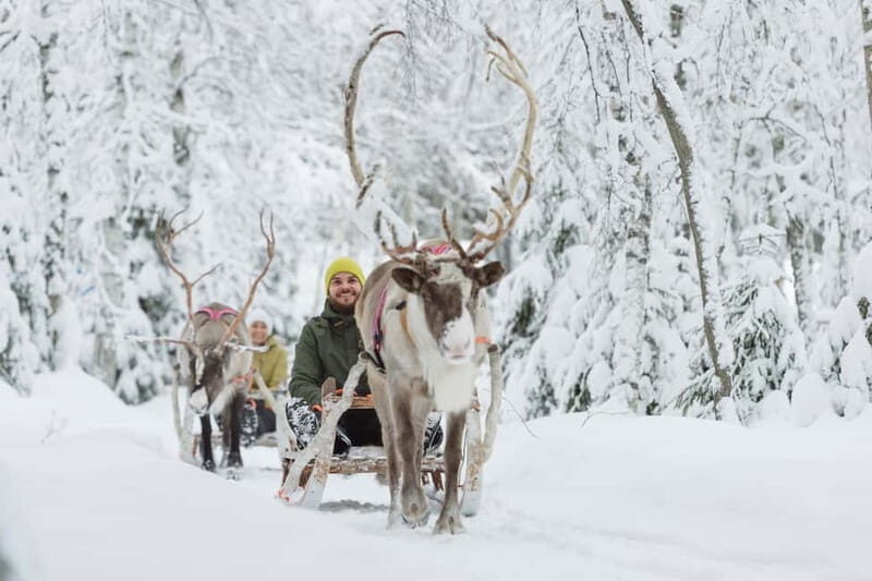 Levi: Reindeer Experience with Sled Ride - An Honest Look at the Experience