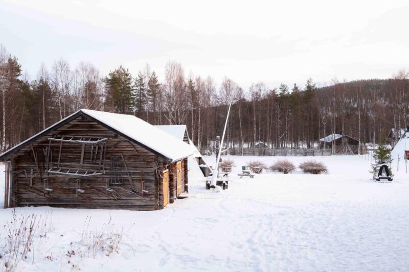 Levi: Reindeer Farm E-Fatbike Safari - Key Points