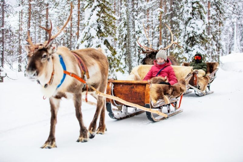 Levi: Reindeer Sleigh Ride Tour in Snowy Forest - FAQs