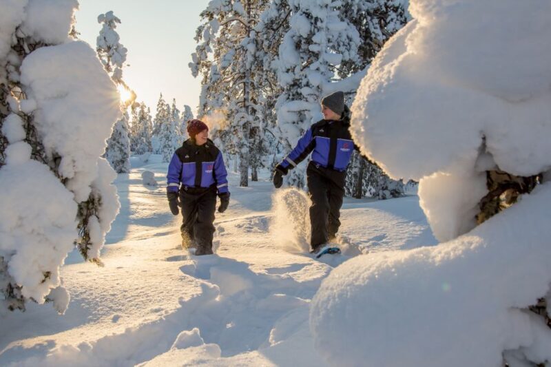 Levi: Scenic Levi Snowshoe Trip - Who Should Consider This Tour?
