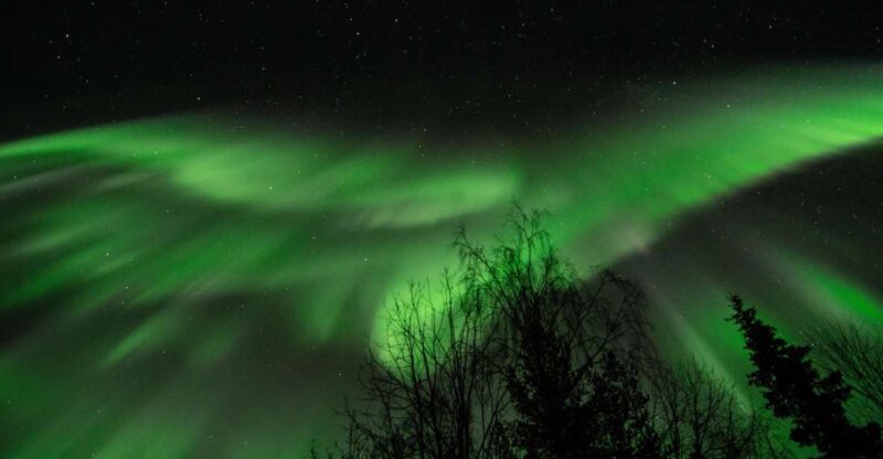 Levi: Search for Northern Lights in snowmobile sleigh - Key Points