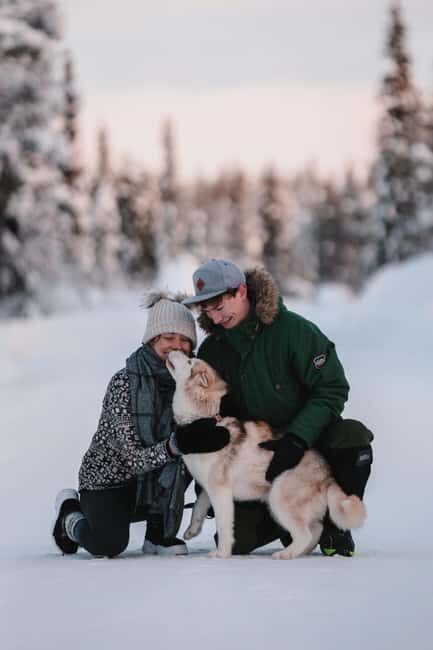 Levi: Self-Drive 2 KM Husky Sledding Experience - The Experience’s Highlights and Real Traveler Insights