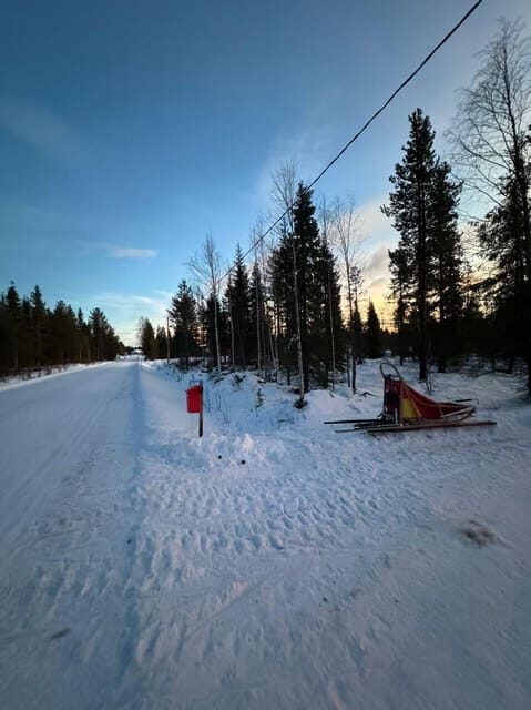 Levi: Self-Drive 2 KM Husky Sledding Experience - Final Thoughts