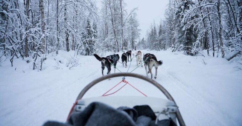 Levi: Self-Drive Guided Husky Tour - Key Points