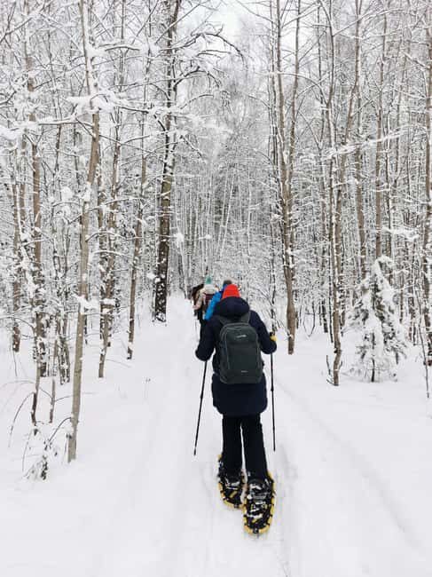 Levi: Snowshoe Survival Experience - Is It Worth the Price?