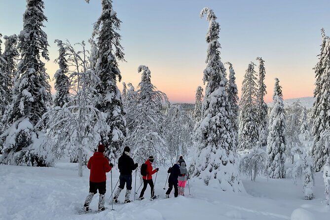 Levi: Snowshoeing adventure in the National Park - Key Points