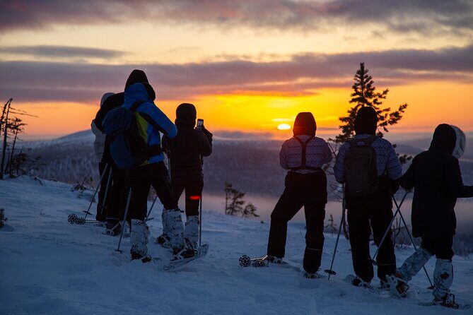 Levi: Snowshoeing adventure in the National Park - Who Should Consider This Tour?