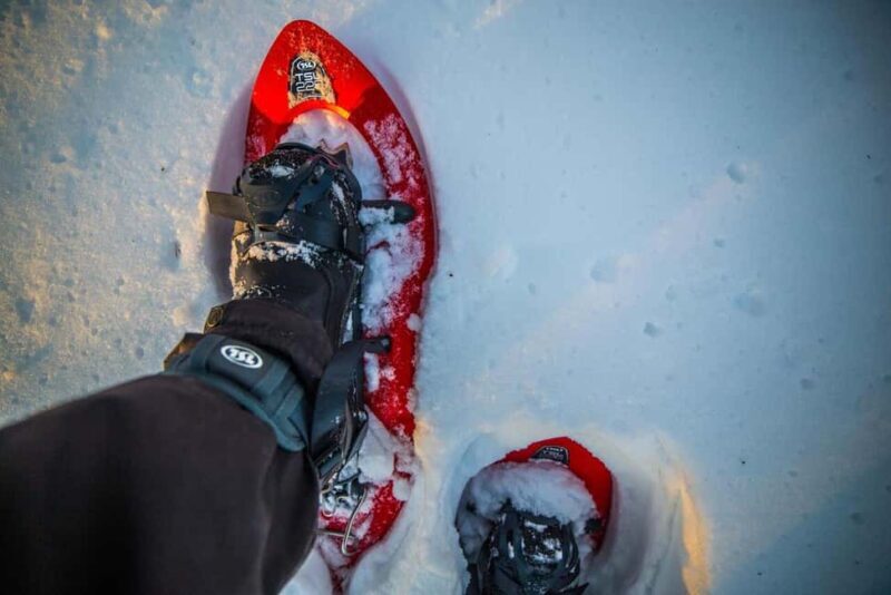 Levi: Snowshoeing Adventure with warm Drinks - What to Expect from the Snowshoeing Tour