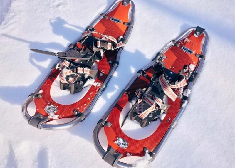 Levi: Snowshoeing Adventure with warm Drinks - The Practical Details