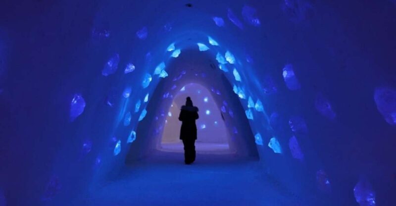 Levi: Trip to Lapland Snow Village with Entry Tickets - Exploring the Lapland Snow Village Tour from Levi: A Practical Look