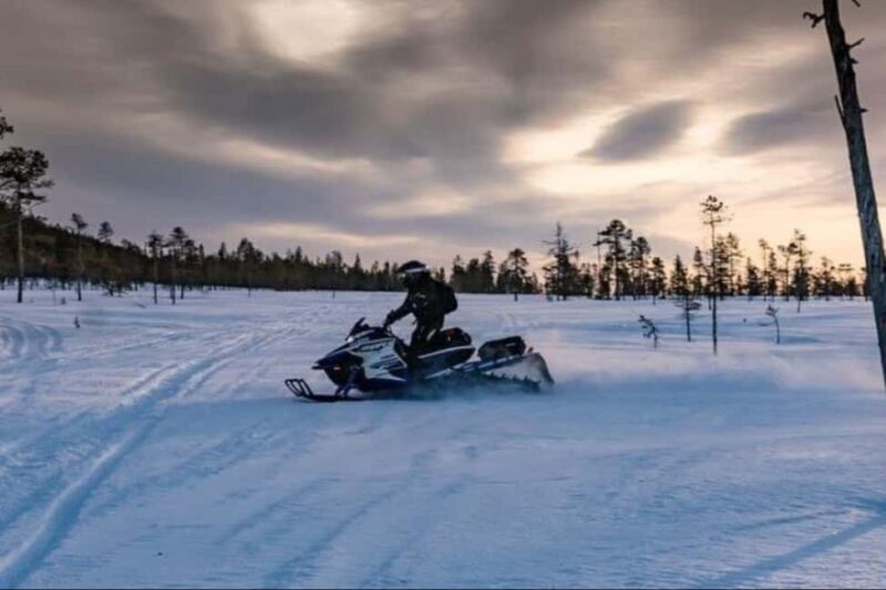 Levi: Twilight Snowmobile Safari & Stargazing Experience - Warmth and Comfort in a Finnish Cabin