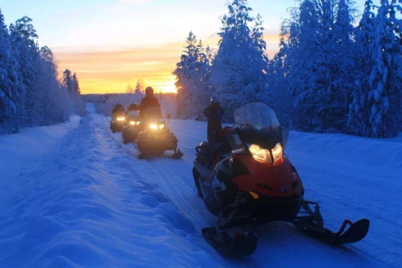 Levi: Twilight Snowmobile Safari & Stargazing Experience - Who Would Love This Tour?