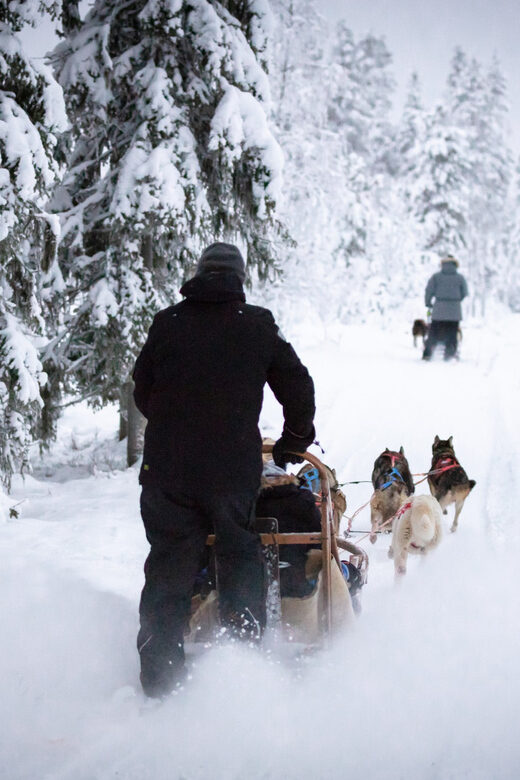 Levi: Winter Highlights Family Day - The Itinerary in Detail