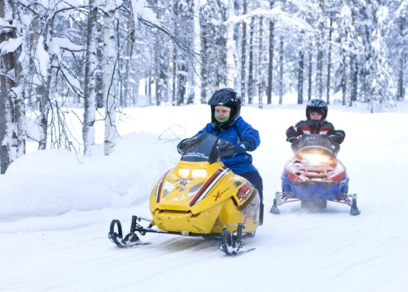 Levi: Winter Highlights Tour with Snowmobiling - What’s the Tour All About?