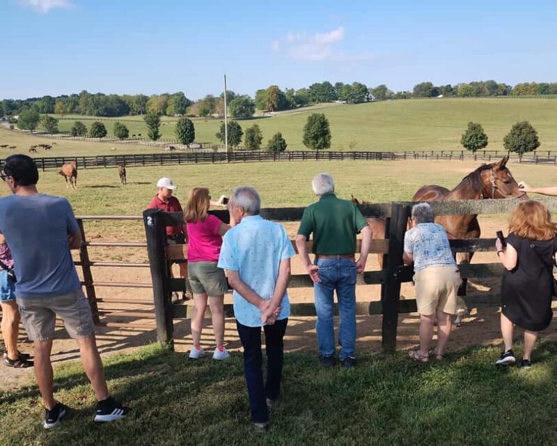 Lexington: Thoroughbred Horse Farm Tour and Scenic Bluegrass - The Experience of Visiting Kentucky’s Horse Country