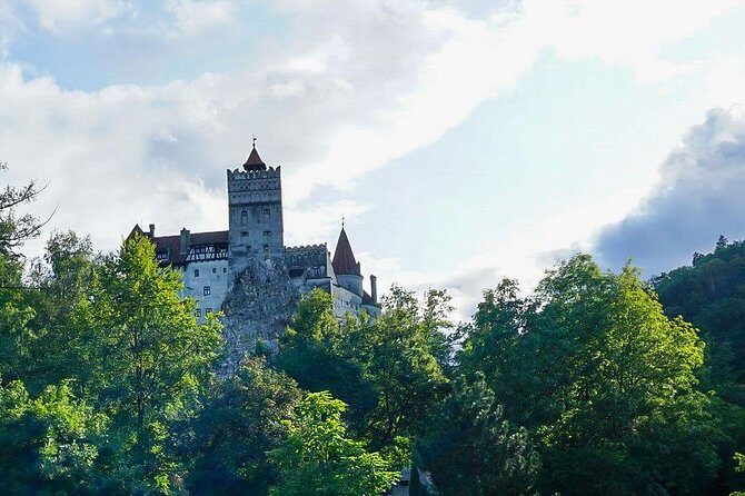 Libearty Bear Sanctuary and Dracula's Castle - Day Tour from Bucharest - Pricing and Value