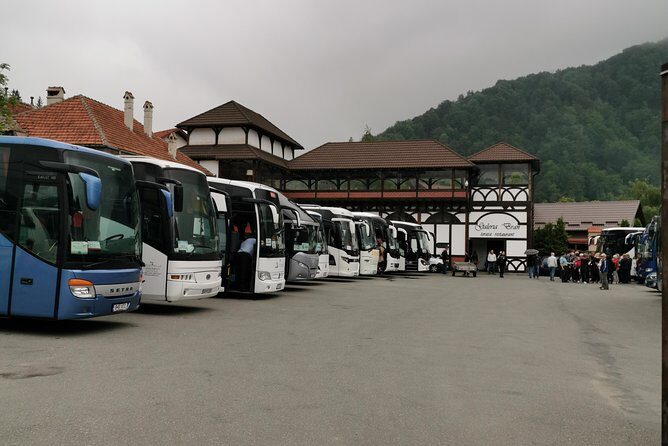 Libearty Brown Bears Sanctuary & Fun with ATV or Buggy Quad Tour - A Deep Dive Into the Experience