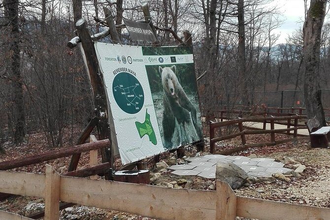 LiBEARty - the Brown Bear Sanctuary from Zarnesti - FAQ