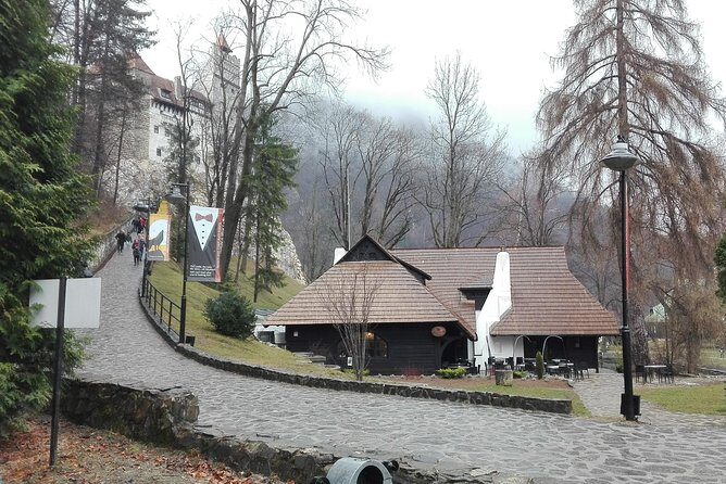 LiBEARty - the Brown Bear Sanctuary from Zarnesti - Final Thoughts