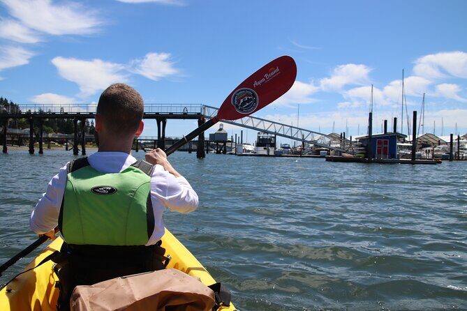 Liberty Bay Wildlife Kayaking - Final Thoughts