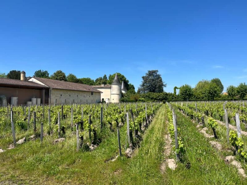 Libourne : visite et dégustation de vin au cur de Libourne - Why Reviewers Love It