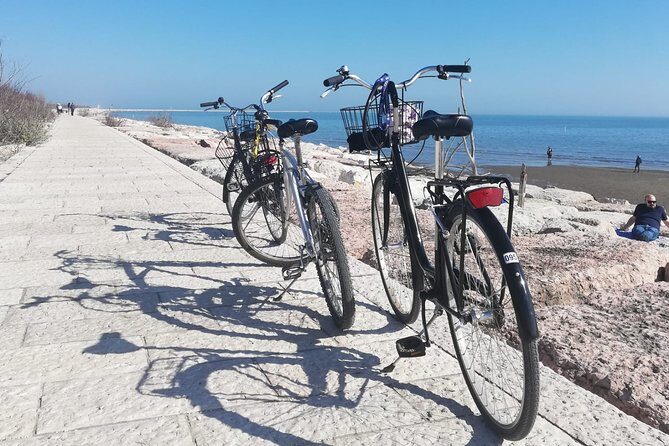 Lido Bike Tour: With a Local on the Island of Cinema - Is This Tour Right for You?