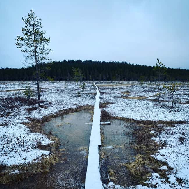 Lieksa: Patvinsuo National Park Overnight Hike - Key Points