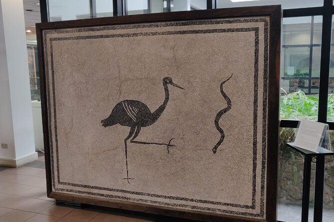 Lifestyle of The Ancient Rich: Domus & Villa in Pompeii, Oplontis and Boscoreale - FAQ