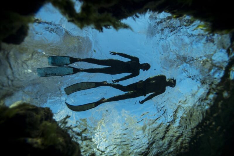 Ligaria Beach: Discover Free Diving (Apnea) - Deep Dive into the Details