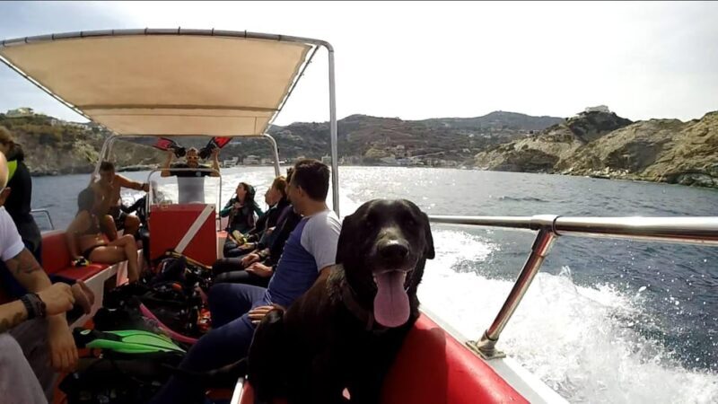 Ligaria: Snorkeling trip with Motor Boat around Agia Pelagia - What to Expect from the Snorkeling Adventure